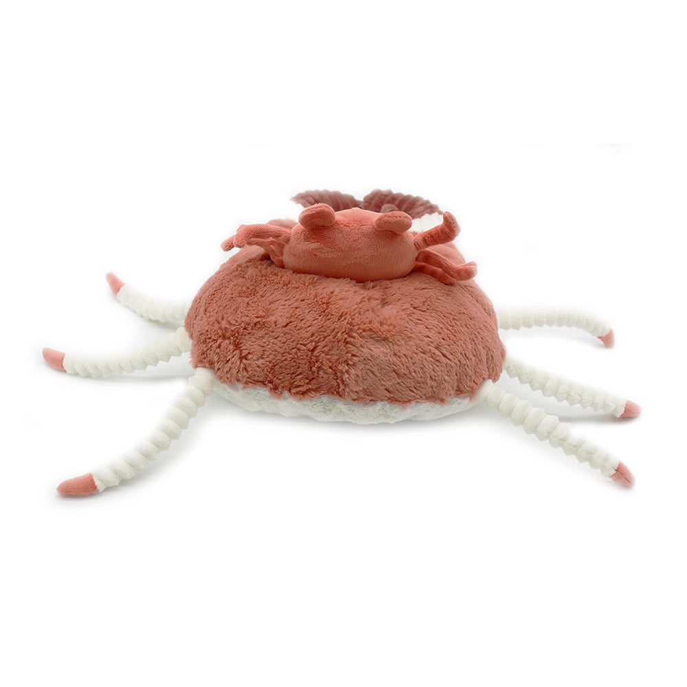 Peluche Cassecou le crabe maman - bébé terracotta - Les Ptipotos 5