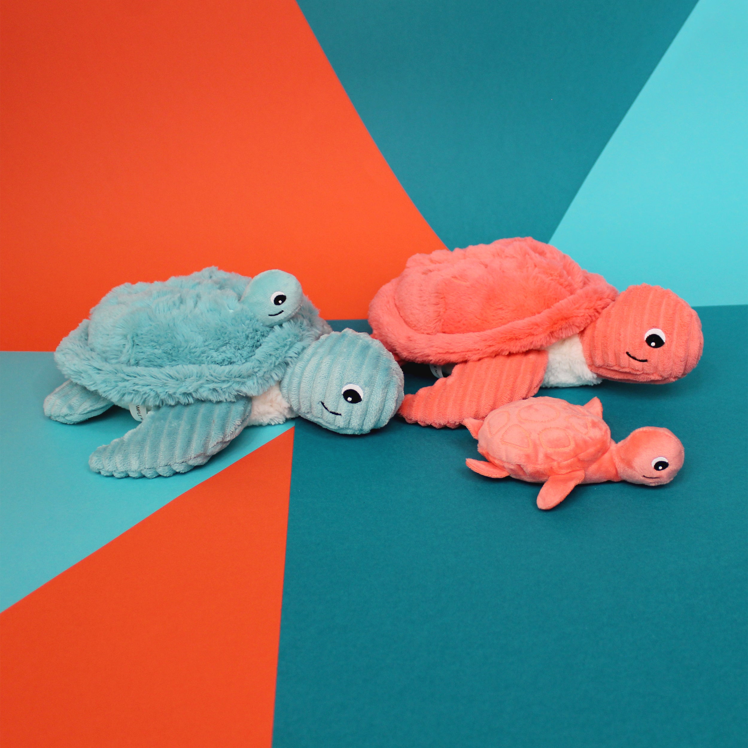Visuel d'ambiance tortue corail et tortue bleu aqua sur fonds colorés - Les Ptipotos
