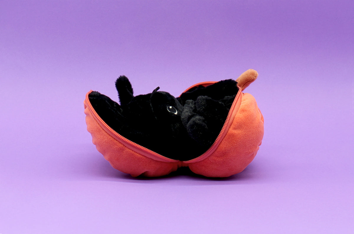 Peluche Pumpet la citrouille/araignée - montage transformation de la citrouille en araignée 6 - Flipetz