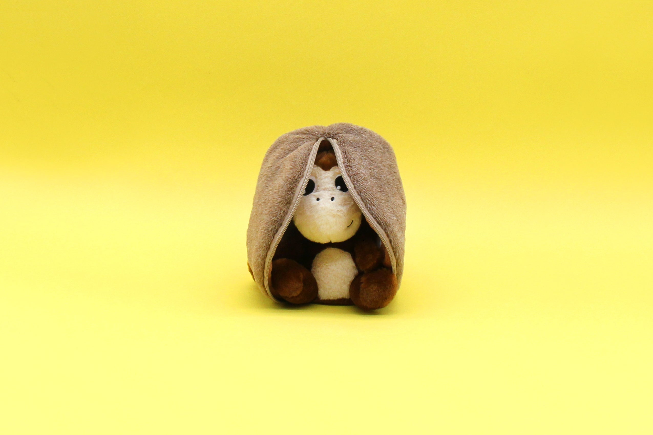 in Coconet the monkey/coconut plush toy Flipetz – Les Déglingos