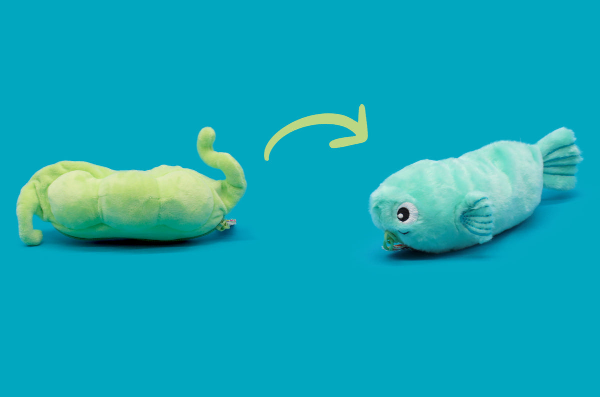 Peluche Bubblet le poisson/pois - montage du pois se transformant en poisson 10 - Flipetz