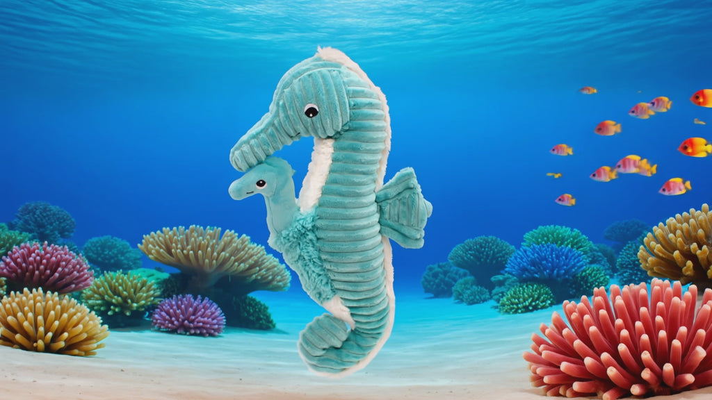 Vidéo d'animation peluche Papadou l'hippocampe papa et son bébé - Les Ptipotos