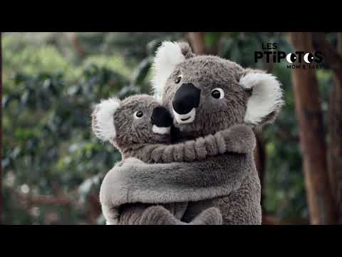 Vidéo d'animation peluche Trankilou le koala maman et son bébé - Les Ptipotos