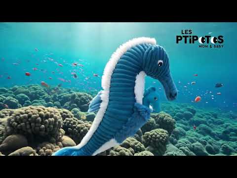 Vidéo d'animation peluche Papadou l'hippocampe papa et son bébé - Les Ptipotos